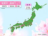 室蘭で桜(ソメイヨシノ)が開花　北海道ではGW期間中に広く見頃　お花見日和は?