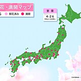 室蘭で桜(ソメイヨシノ)が開花　北海道ではGW期間中に広く見頃　お花見日和は?