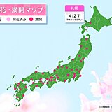 札幌で桜(ソメイヨシノ)が満開に　いよいよ花見シーズン到来