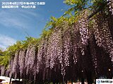 ゴールデンウィーク　関東～九州はたびたび夏日　暑さ対策を　沖縄は“梅雨のはしり"