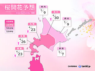 桜前線は北海道・旭川まで到達　道北と道東では5月上旬に開花する所が多い