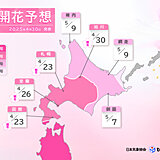 桜前線は北海道・旭川まで到達　道北と道東では5月上旬に開花する所が多い