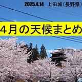 4月まとめ　今年の桜や花粉はどうだった?　5月は暑い?