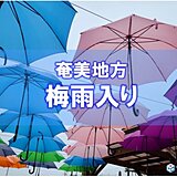 奄美地方が梅雨入り　71年ぶりに九州南部より遅れた梅雨入り