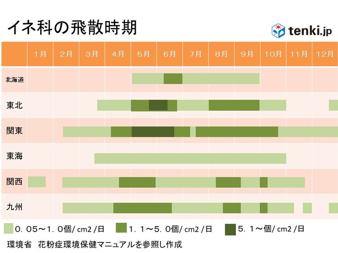 画像B