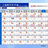 シラカバ花粉の飛散ピークか　12日から道内は気温の高い一週間　札幌では夏日続く?