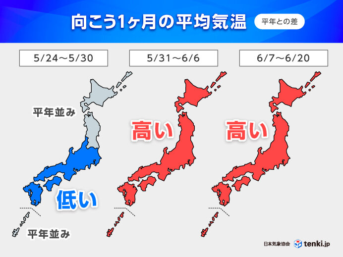 画像B