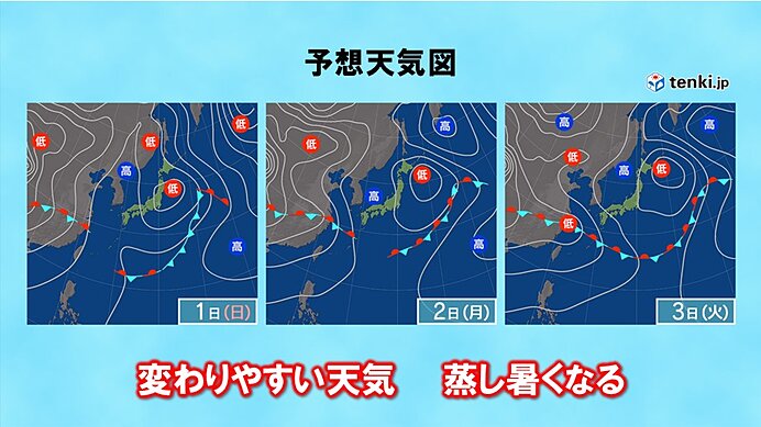 画像C