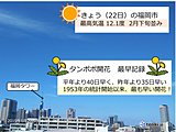 福岡　タンポポ　観測史上最も早い開花