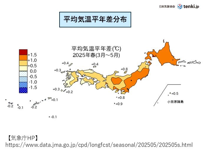 画像A