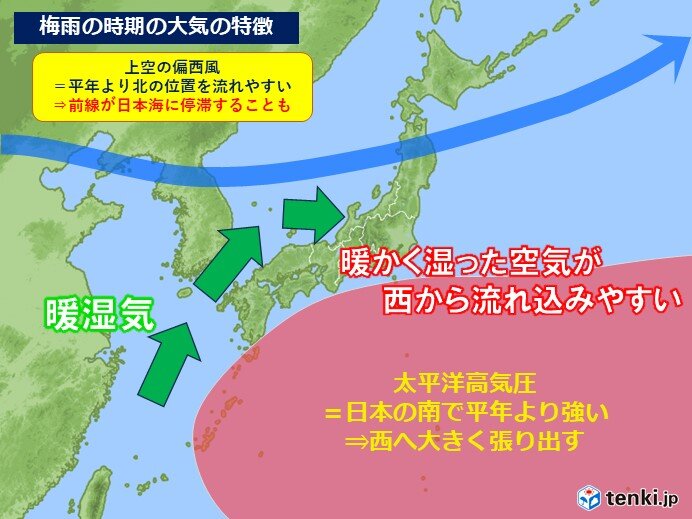 画像C