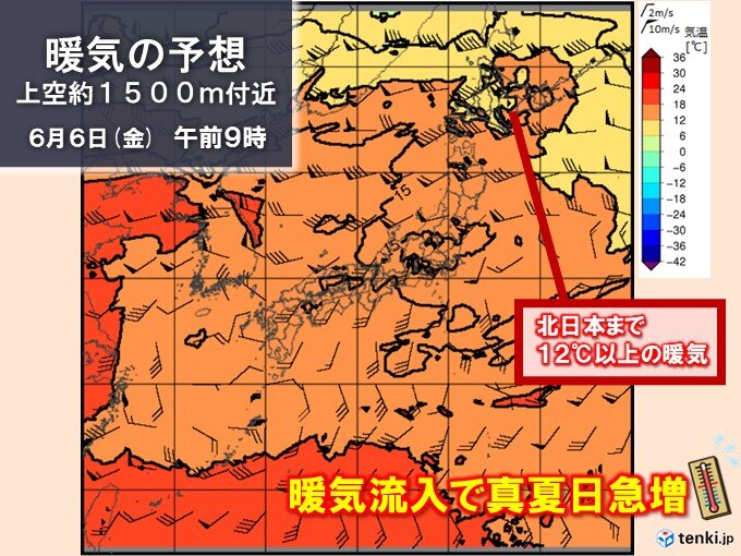 画像B