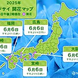今日6日　大阪、広島、福岡などでアジサイ開花　本格的な雨のシーズン近づく