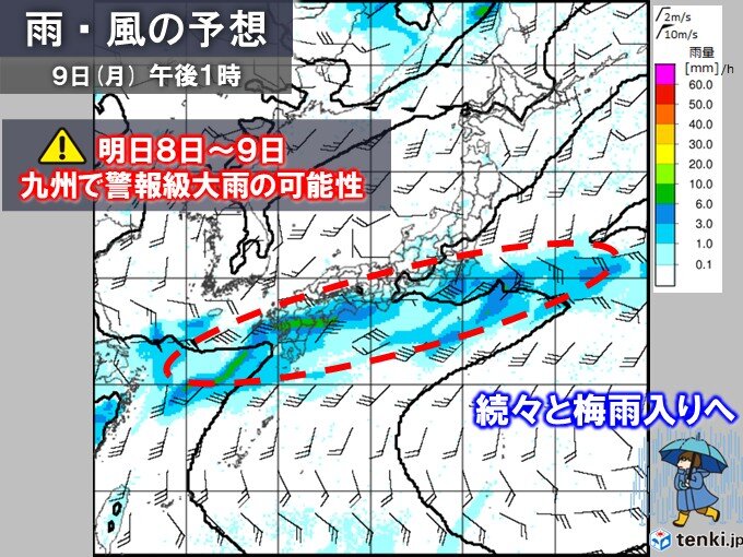 画像A