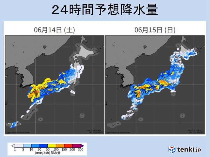 画像D