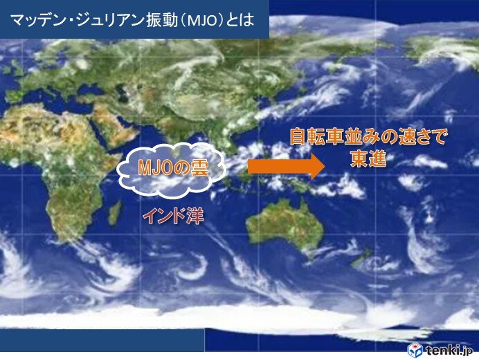 画像B