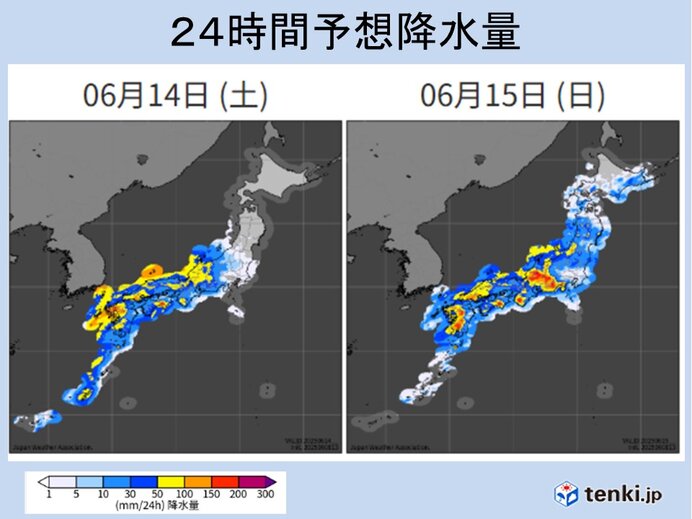 画像D