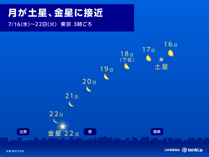 画像D