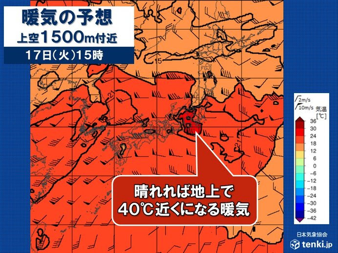画像D