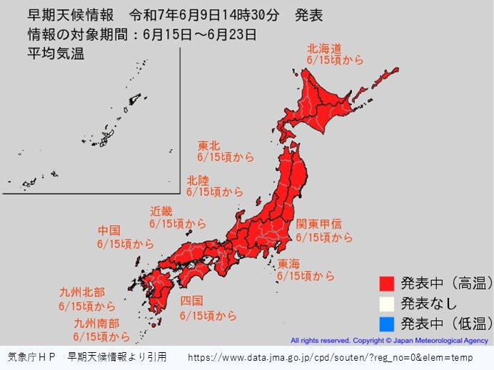 画像D