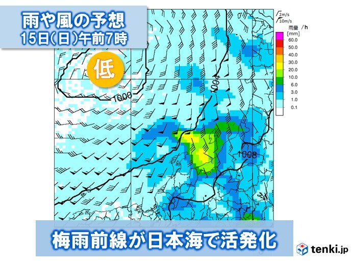 画像B