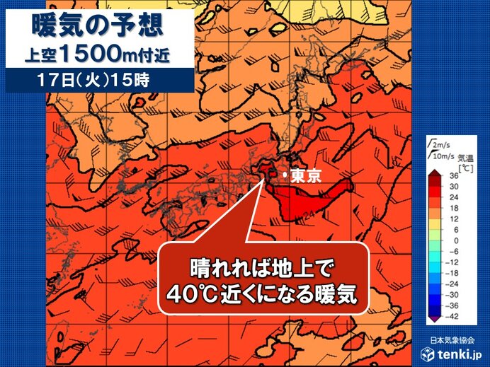 画像B