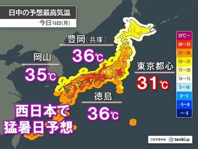 画像A