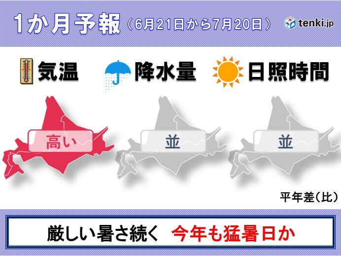 画像C
