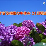 北陸　22日頃から梅雨空　太平洋高気圧の縁で湿った空気の通り道　最新の1か月予報