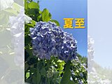 今日21日は夏至　一年で最も夜が短く睡眠の質が下がりがち　快眠ポイント3つ