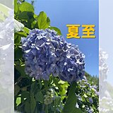 今日21日は夏至　一年で最も夜が短く睡眠の質が下がりがち　快眠ポイント3つ