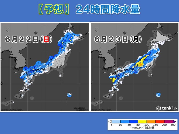 画像C
