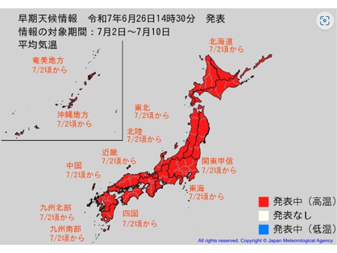 画像D