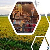 今年の夏は暑い　今年の新潟のお米は?　神さまの予想と3か月予報対決