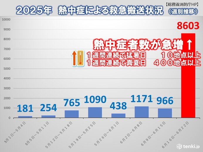 画像D
