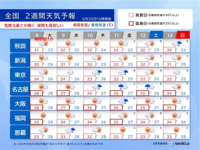 画像D