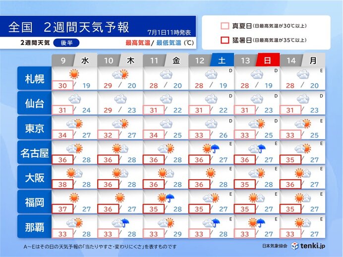 画像D
