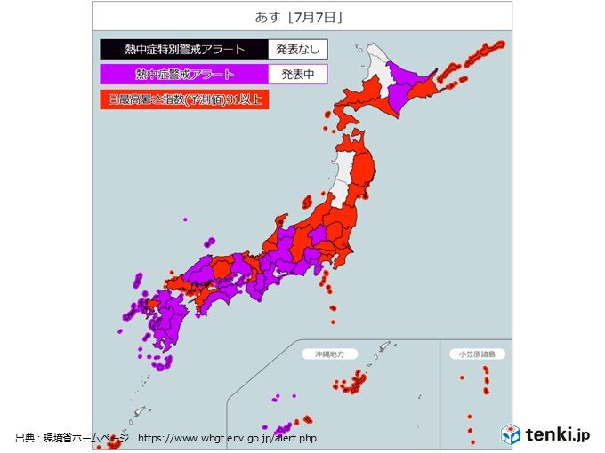 画像C