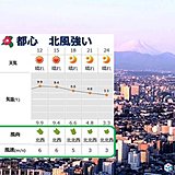 29日　都心　ツバキを震わす北風