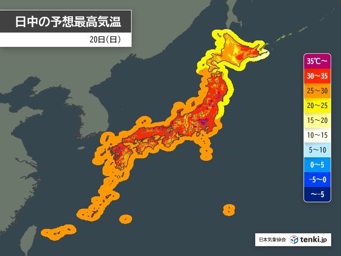 画像C