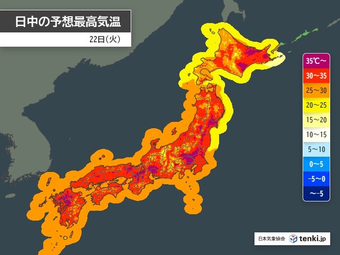 画像B