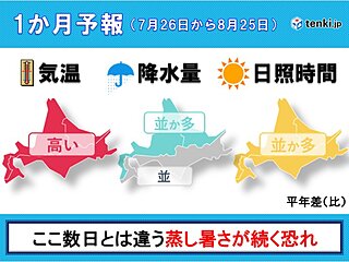 暑さの終わりが見えない北海道　向こう1か月も高温続く恐れ