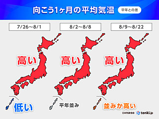 北海道～九州は8月上旬にかけ「猛暑」　沖縄・奄美は「台風」の影響注意　1か月予報