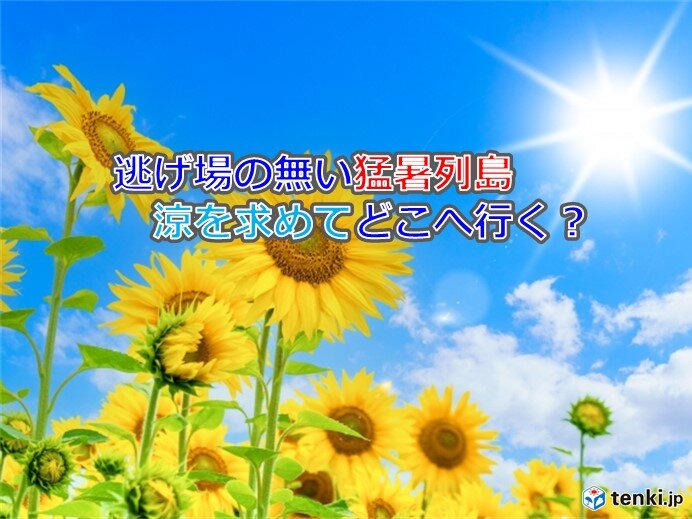 北陸　7月の平均気温も過去最高か　歯止めが効かない猛暑　台風・ダブル高気圧も一因