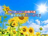 北陸　7月の平均気温も過去最高か　歯止めが効かない猛暑　台風・ダブル高気圧も一因