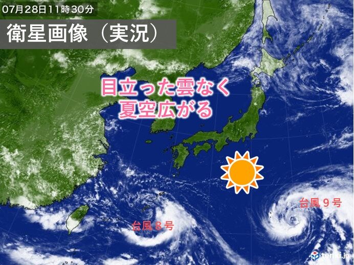 画像A