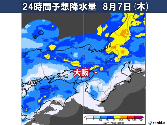 画像D