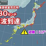 北海道根室市花咲で30センチの津波を観測　ただちににげて!高台に避難を!