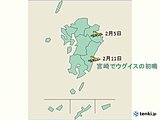 宮崎でウグイス初鳴　平年より14日早い