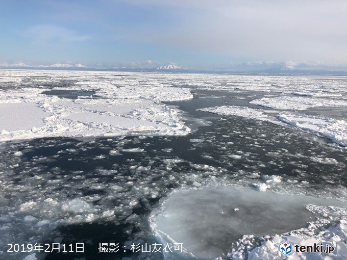 北海道　今週は流氷に出会えるチャンス!